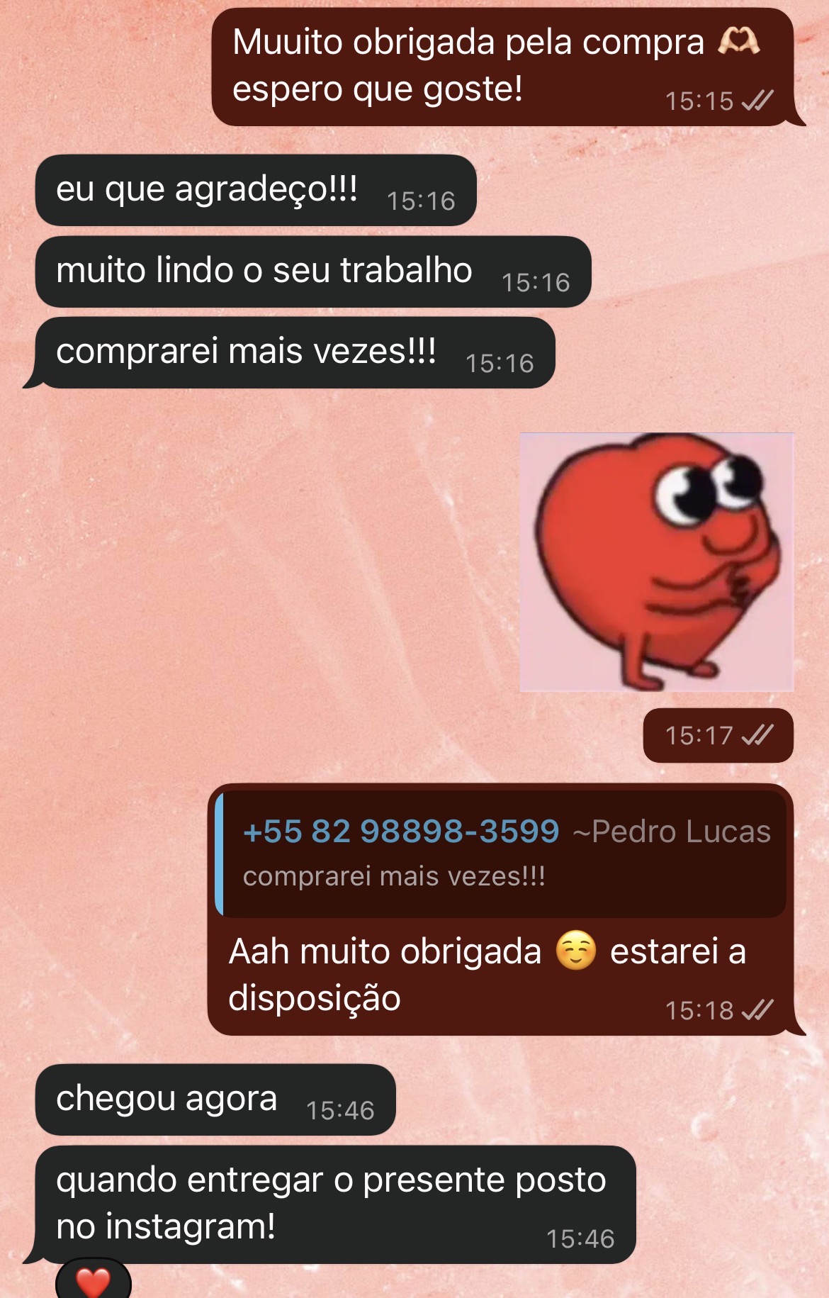 Print de conversa de cliente elogiando a compra