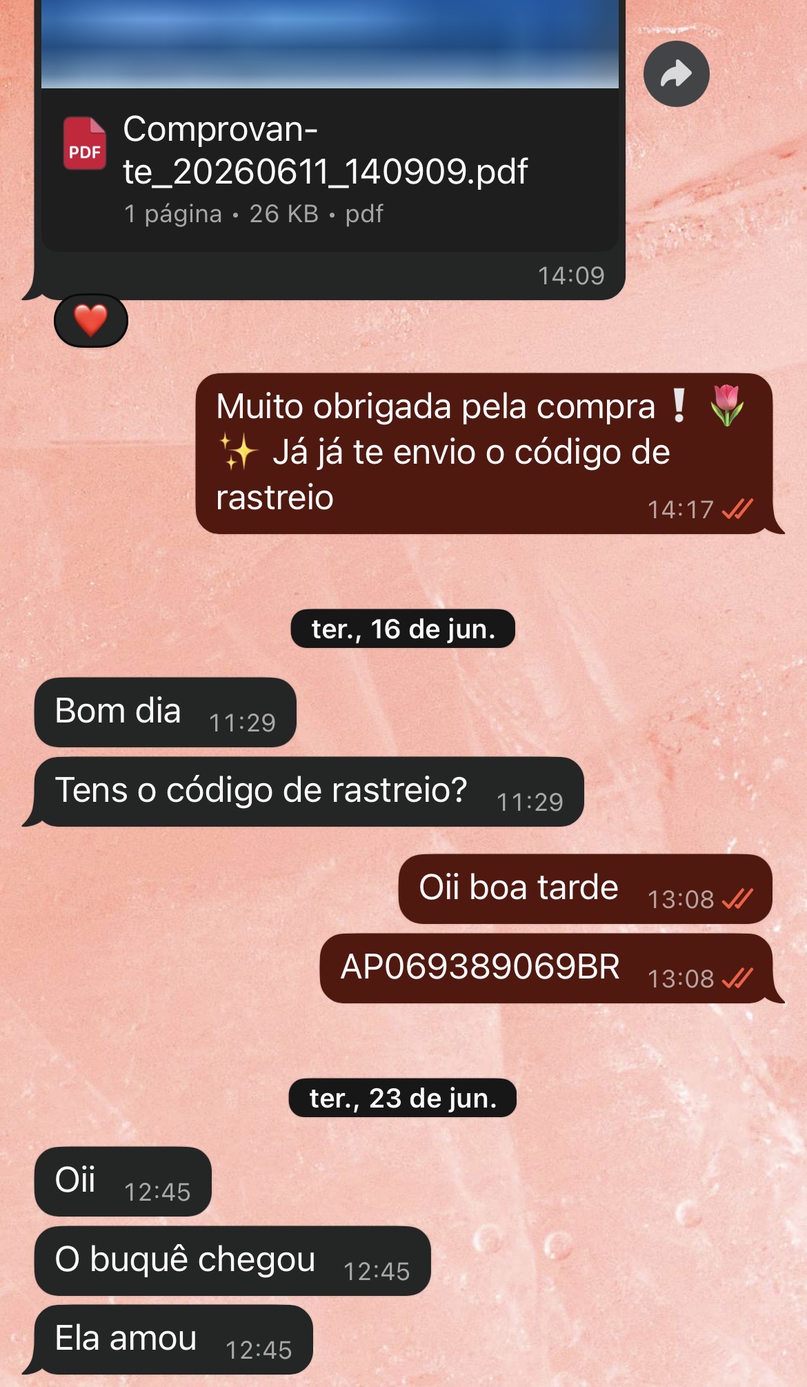 Print de conversa de cliente sobre sua compra